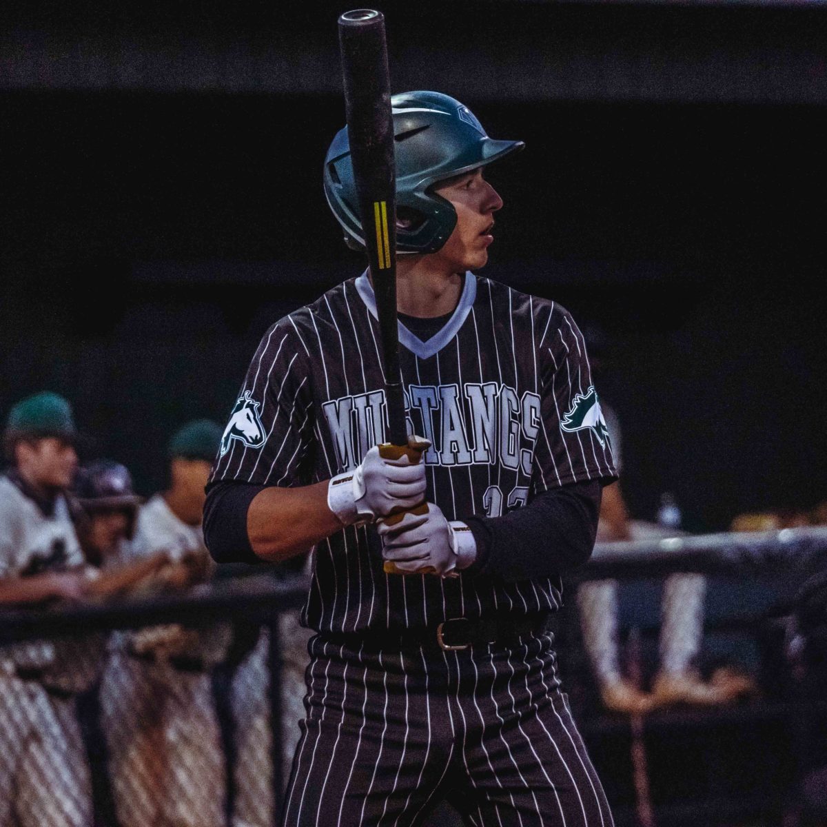 Willie_Prince_Kennesaw_Mountain_baseball.137